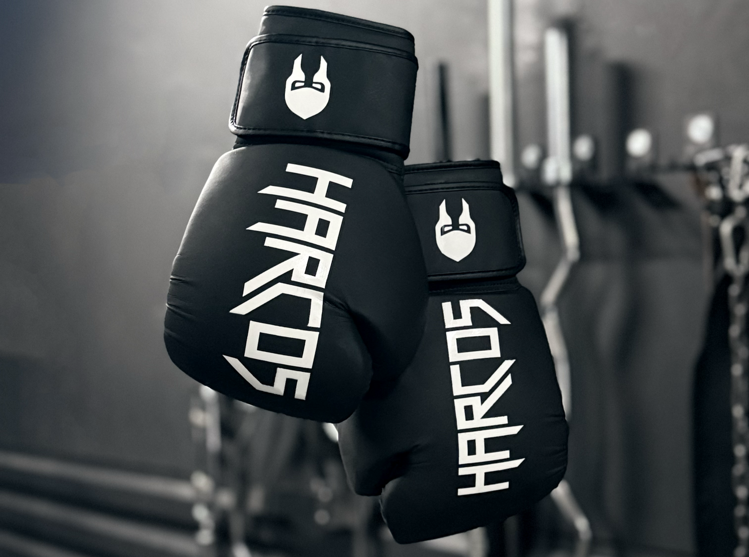 Gants de boxe