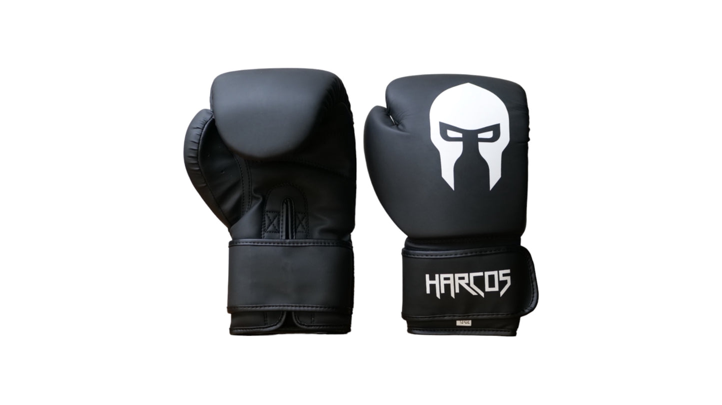 Gants de boxe - Fire Knight