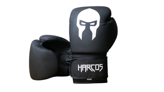 Gants de boxe - Fire Knight