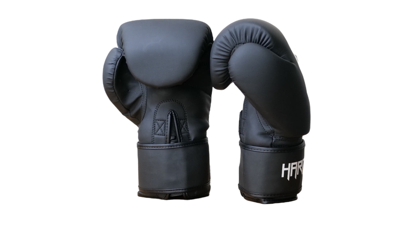 Gants de boxe - Fire Knight